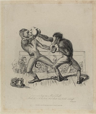 Boxende Affen, aus Monkey-ana von Thomas Landseer