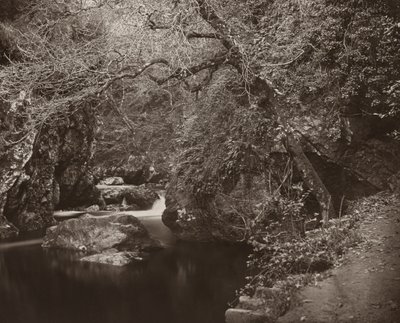 Das Dargle-Loch, ca. 1865 von Thomas Marcus Brownrigg