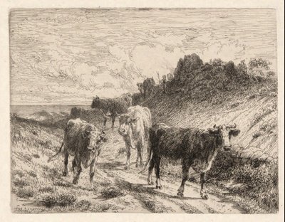 Kühe von Thomas Moran