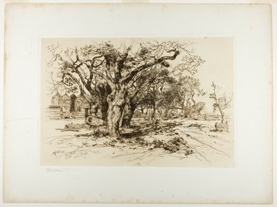 Mulfords Obstgarten, Easthampton von Thomas Moran