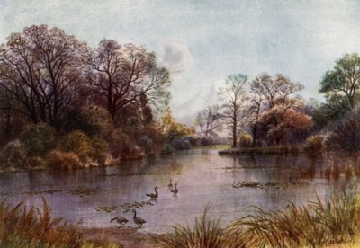 Kew Gardens: Der See von Thomas Mower Martin