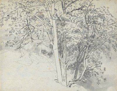 Studie von Bäumen von Thomas Stothard