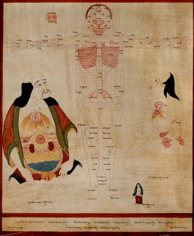 Manuskript der Meridianpunkte von Tibetan School