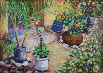 Afrikanische Topfpflanzen von Tilly Willis