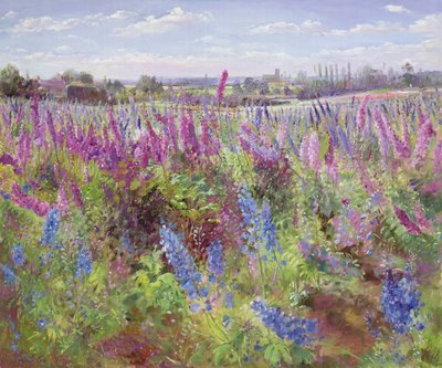 Delphiniumfeld und Kirche von Timothy Easton