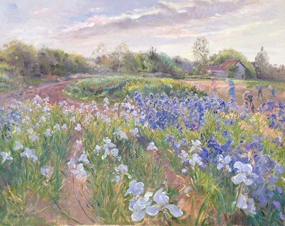 Sonnenstrahlen auf Iris, 1996 von Timothy Easton