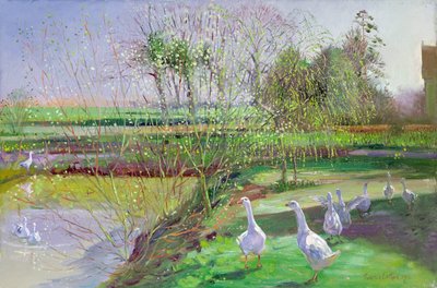 Weide und Gänse von Timothy Easton