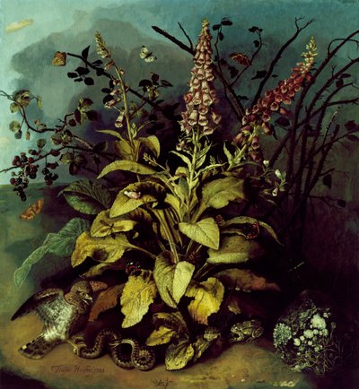 Stillleben von Trajan Hughes