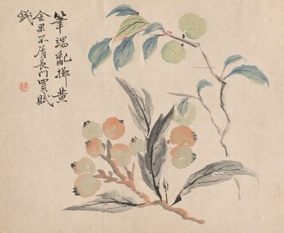 Loquatbaum von Japan von Tsubaki Chinzan