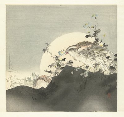 Wachteln von Tsukioka Kogyo