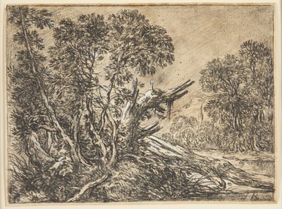 Waldlandschaft mit einem gebrochenen Baum von Ubekendt