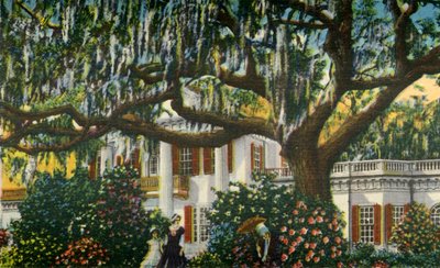 Eine Villa in den Carolinas, 1942 von Unbekannt