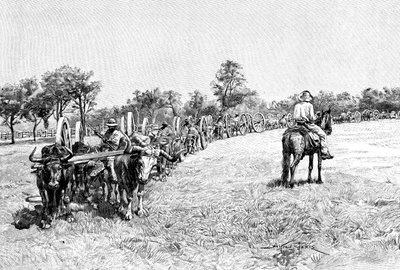Ein Konvoi von Wagen, Südamerika, 1895 von Unbekannt