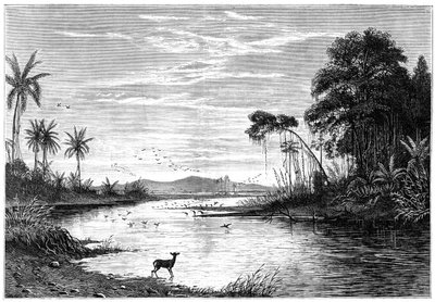 Eine Flusslandschaft in Venezuela, 1877 von Unbekannt