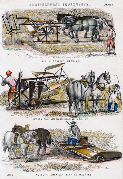 Landwirtschaftliche Geräte, 19. Jahrhundert von Unbekannt