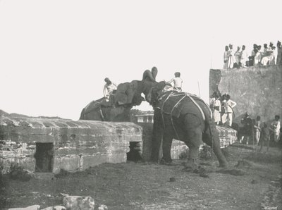 Ein Elefantenkampf, Hyderabad, Indien, 1895 von Unbekannt