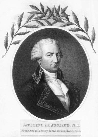 Antoine de Jussieu, französischer Botaniker des 18. Jahrhunderts, 1807 von Unbekannt
