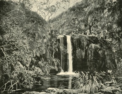 Back Creek Falls, Buchan River, Victoria, 1901 von Unbekannt