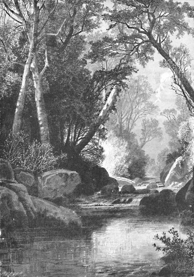 Bear River, in der Nähe von Bethel, Maine, 1883 von Unbekannt