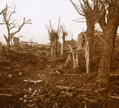 Zerstörte Landschaft, Belloy-en-Santerre, Nordfrankreich, ca. 1914-ca. 1918 von Unbekannt