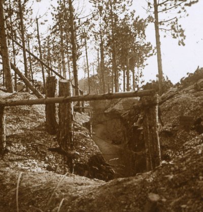 Bois-le-Prêtre, Nordfrankreich, ca. 1914-1915 von Unbekannt