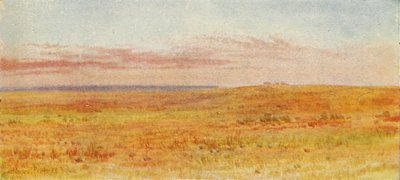 Kanadische Prärie, 1924 von Unbekannt