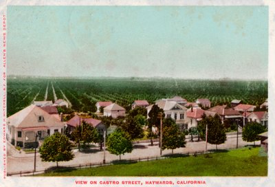 Castro Street, Hayward, Kalifornien, 1905 von Unbekannt