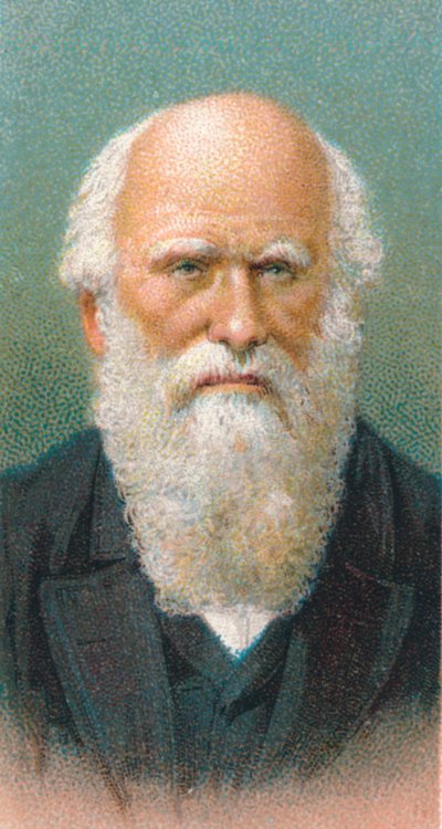 Charles Darwin 1809-1882, britischer Naturforscher, 1924 von Unbekannt