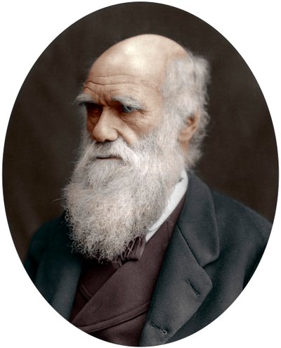 Charles Darwin, britischer Naturforscher, 1878 von Unbekannt