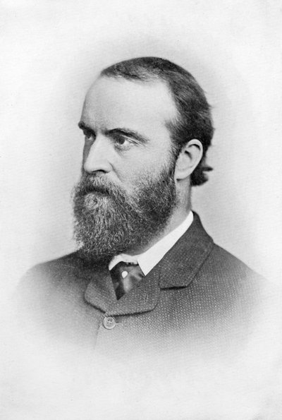 Charles Stuart Parnell, irischer Politiker des 19. Jahrhunderts, ca. 1874-1891 von Unbekannt