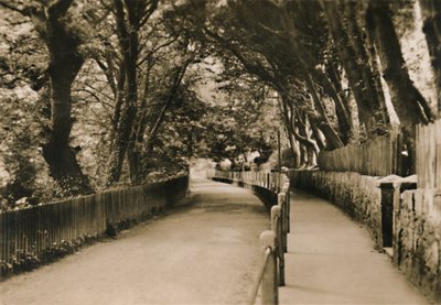 Chine Avenue, Shanklin, I.W., um 1920 von Unbekannt