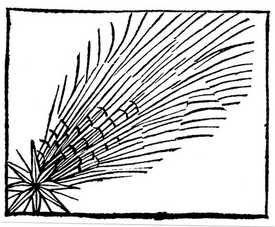 Komet von 684 Halley, 1493 von Unbekannt