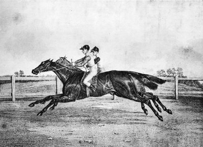 Totes Rennen zwischen Lanercost und Beeswing, 1835-1850, 1911 von Unbekannt