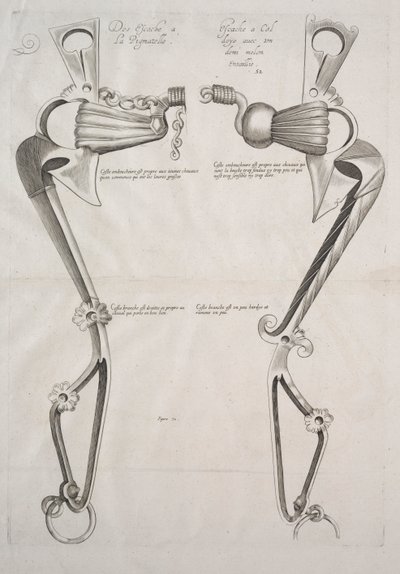 Diagramm für Pferdegebiss, 1700er von Unbekannt