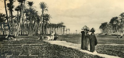 Ägypten - Einheimische Frauen, ca. 1918-1939 von Unbekannt