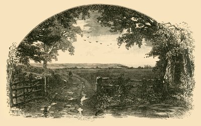 Eingang zu Sedgemoor von Chedzoy von Unbekannt