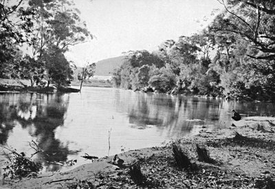 Abendliche Schatten, Nationalpark, ca. 1900 von Unbekannt