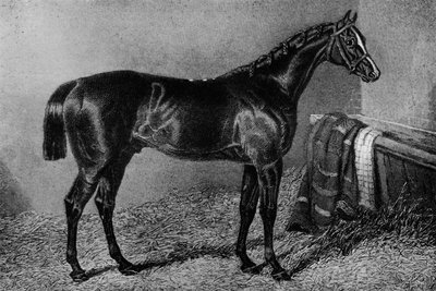 Filho Da Puta, 1812-1835, 1911 von Unbekannt