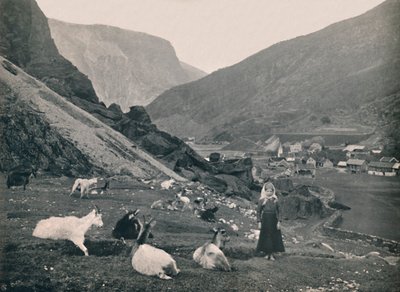 Flaam, 1914 von Unbekannt
