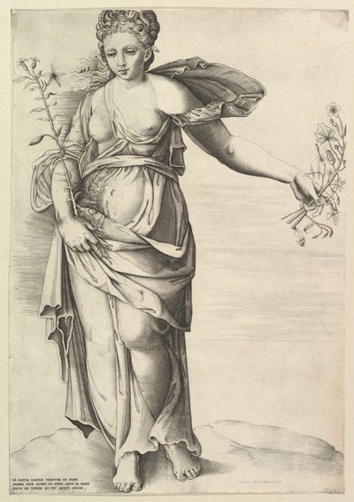 Flora von Unbekannt