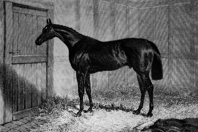 Foig-A-Ballagh, um 1841-1860, 1911 von Unbekannt