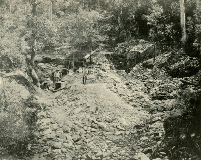 Goldsucher bei der Arbeit, 1901 von Unbekannt
