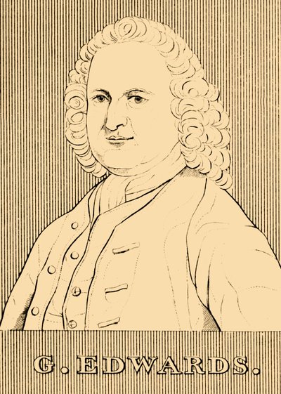 G. Edwards, 1694-1773 von Unbekannt