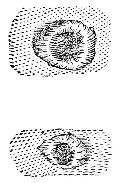 Galileos Zeichnung von Mondkratern, 1611, um 1655 von Unbekannt