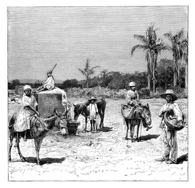 Gruppe von Haitianern, um 1890 von Unbekannt