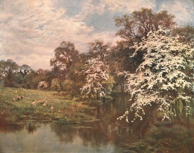 Weißdornblüten, ca. 1899, ca. 1902 von Unbekannt