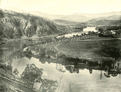 Hopfengärten in Tasmanien, 1901 von Unbekannt