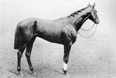 Dschidda, 1895-1909, 1911 von Unbekannt