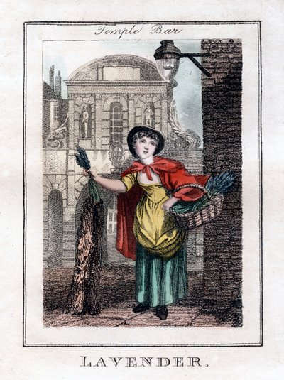 Lavendel, Temple Bar, London, 1805 von Unbekannt