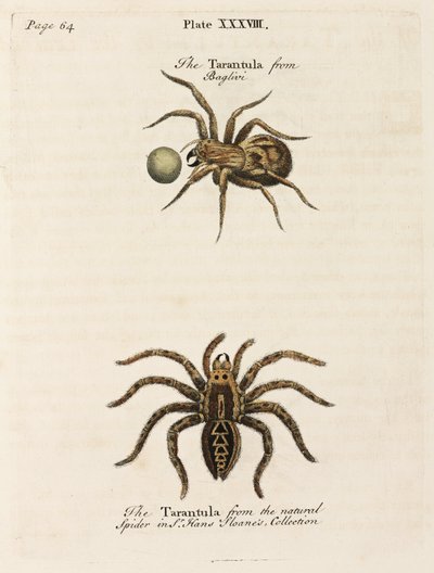 Mikroskopie von Unbekannt
